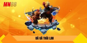 Đá gà thái lan